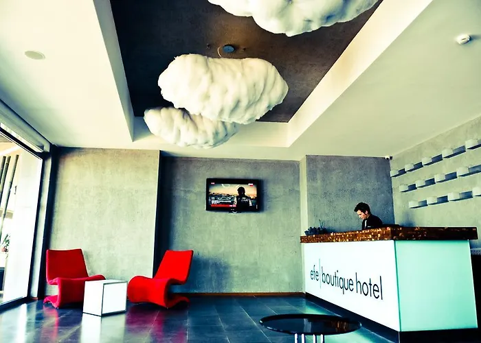 Efe Hotel 3*